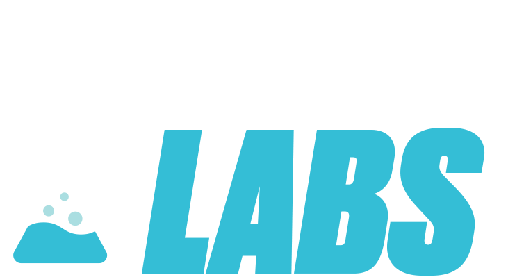 Leadershiplabs